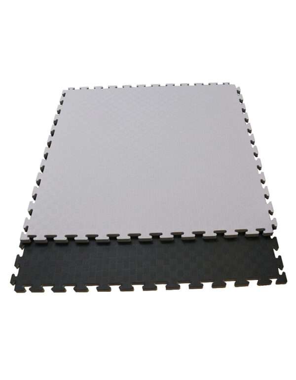 tkd Black and Gary jiu jitsu Martial Arts Matts